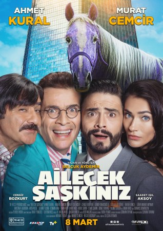 Ailecek Saskiniz