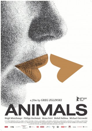 Animals - Stadt Land Tier