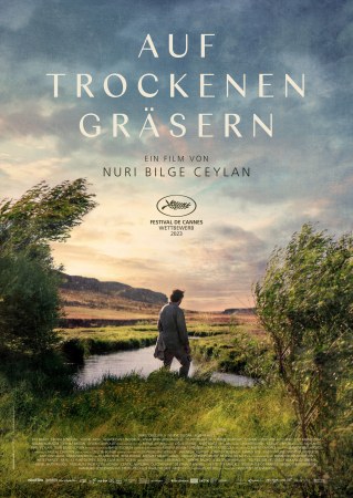 Auf trockenen Gräsern
