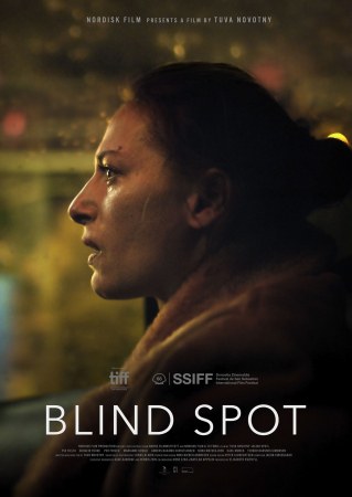Blinder Fleck