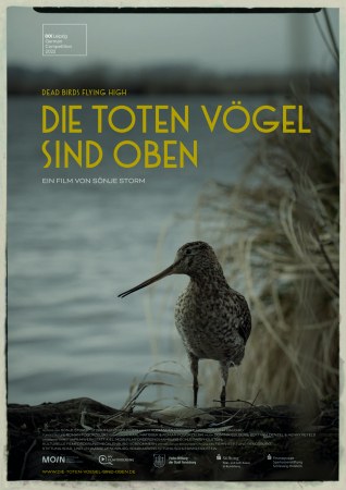 Die toten Vögel sind oben