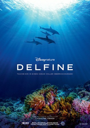 Dolphins