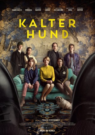 Kalter Hund