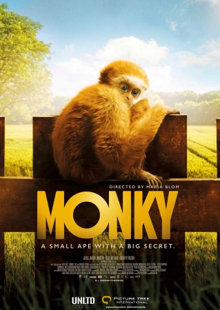 Monky