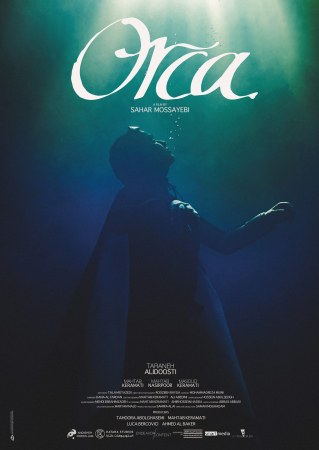 Orca