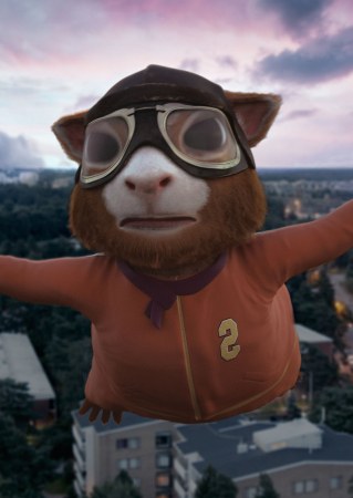 Supermeerschweinchen