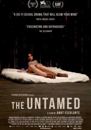 The Untamed