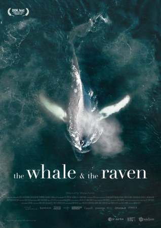 The Whale & the Raven