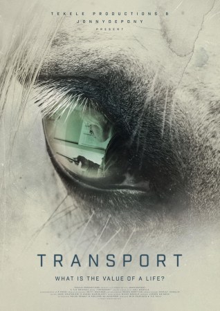 Transport
