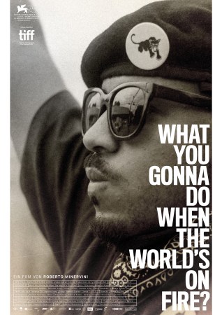 What You Gonna Do When the World's on Fire?