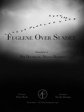 Die Vögel über dem Sund