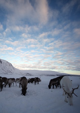 Fulldome: Beyond the Arctic