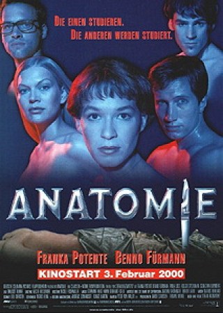 Anatomie