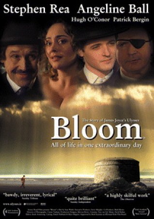 Bloom