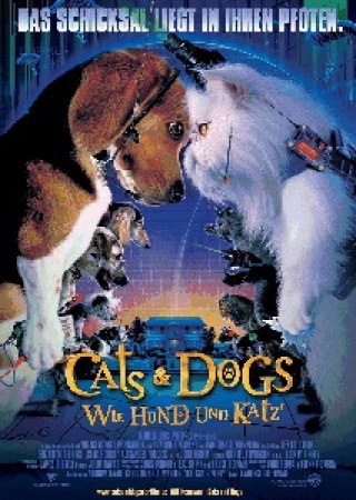 Cats & Dogs - Wie Hund und Katz