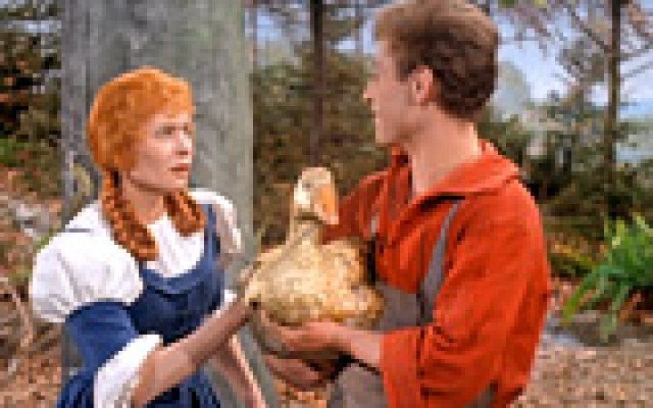 Die goldene Gans