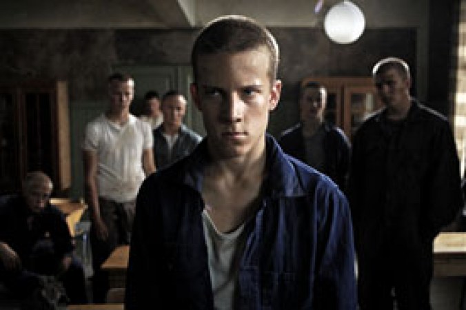 Die Insel der schwarzen Schmetterlinge