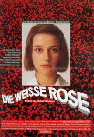 Die Weiße Rose