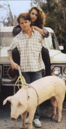Doc Hollywood