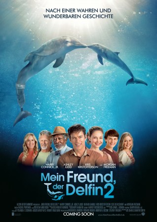 Mein Freund, der Delfin 2