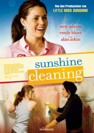 Sunshine Cleaning