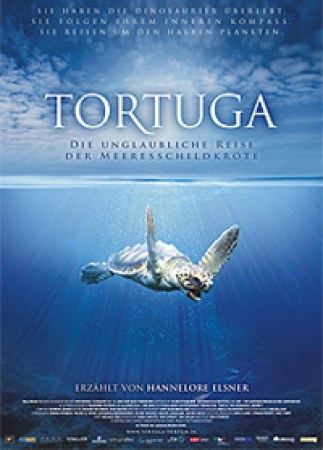 Tortuga - Die unglaubliche Reise der Meeresschildkröte