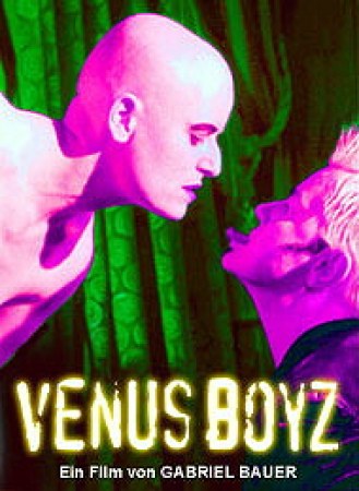 Venus Boyz