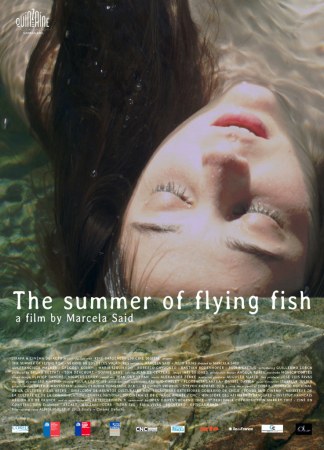 El verano de los peces voladores - Der Sommer der fliegenden Fische