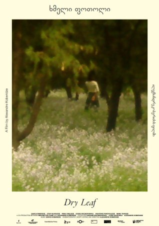 Around The World in 14th Films: Dry Leaf