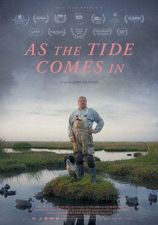 As the Tide Comes In