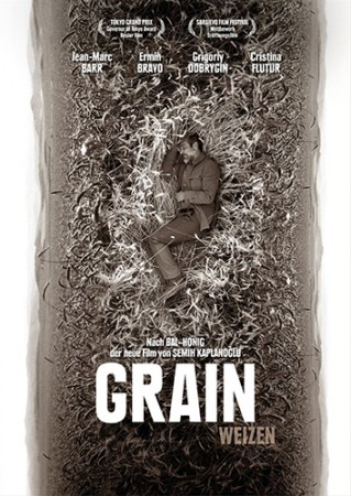 Grain - Weizen