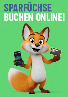 Der Sparfuchs und das Geheimnis des Kinotags