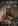 The Witness (persische OmU) – CineSpecial