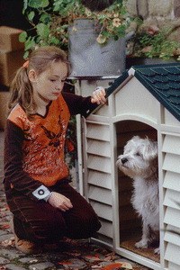 Mein Bruder ist ein Hund | Cinestar