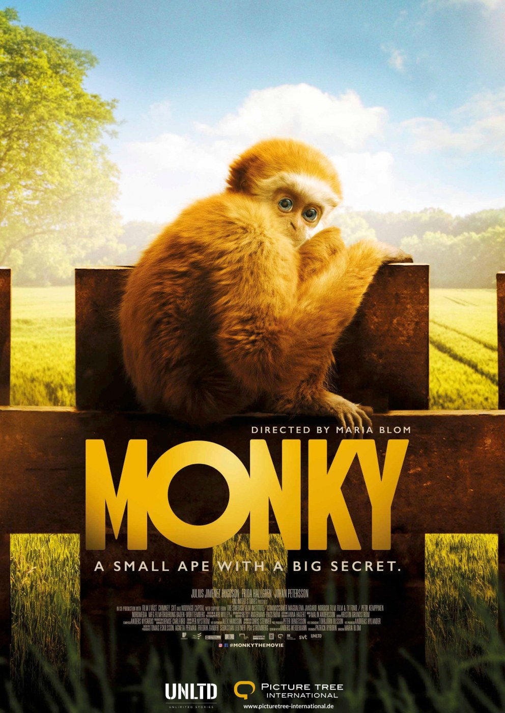 Monky | Cinestar