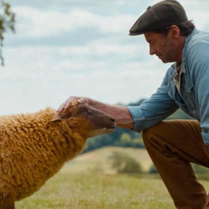 Glennkill: Ein Schafskrimi