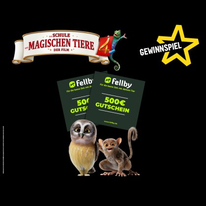 CineStarCARD Gewinnspiel