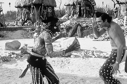 Ace Ventura - Jetzt wird's wild - Bild 1