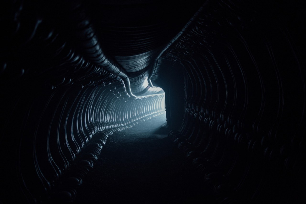 Alien: Covenant - Bild 8