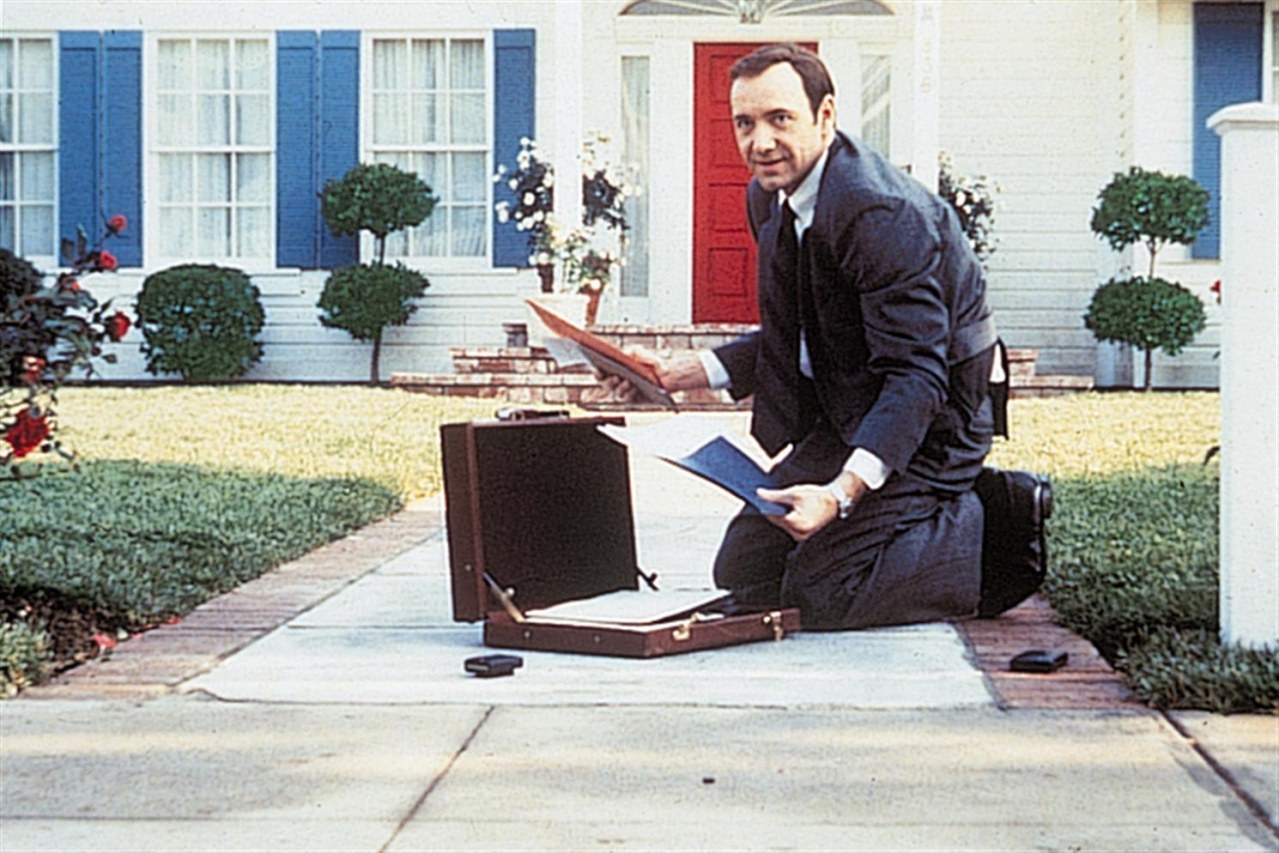 American Beauty - Bild 2