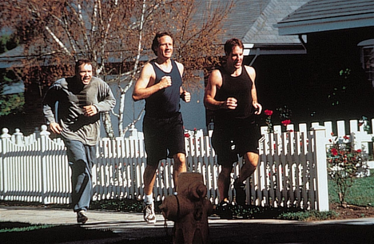 American Beauty - Bild 3