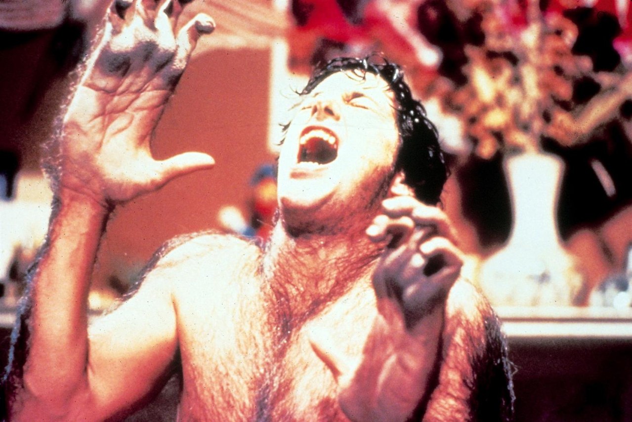 American Werewolf - Bild 11