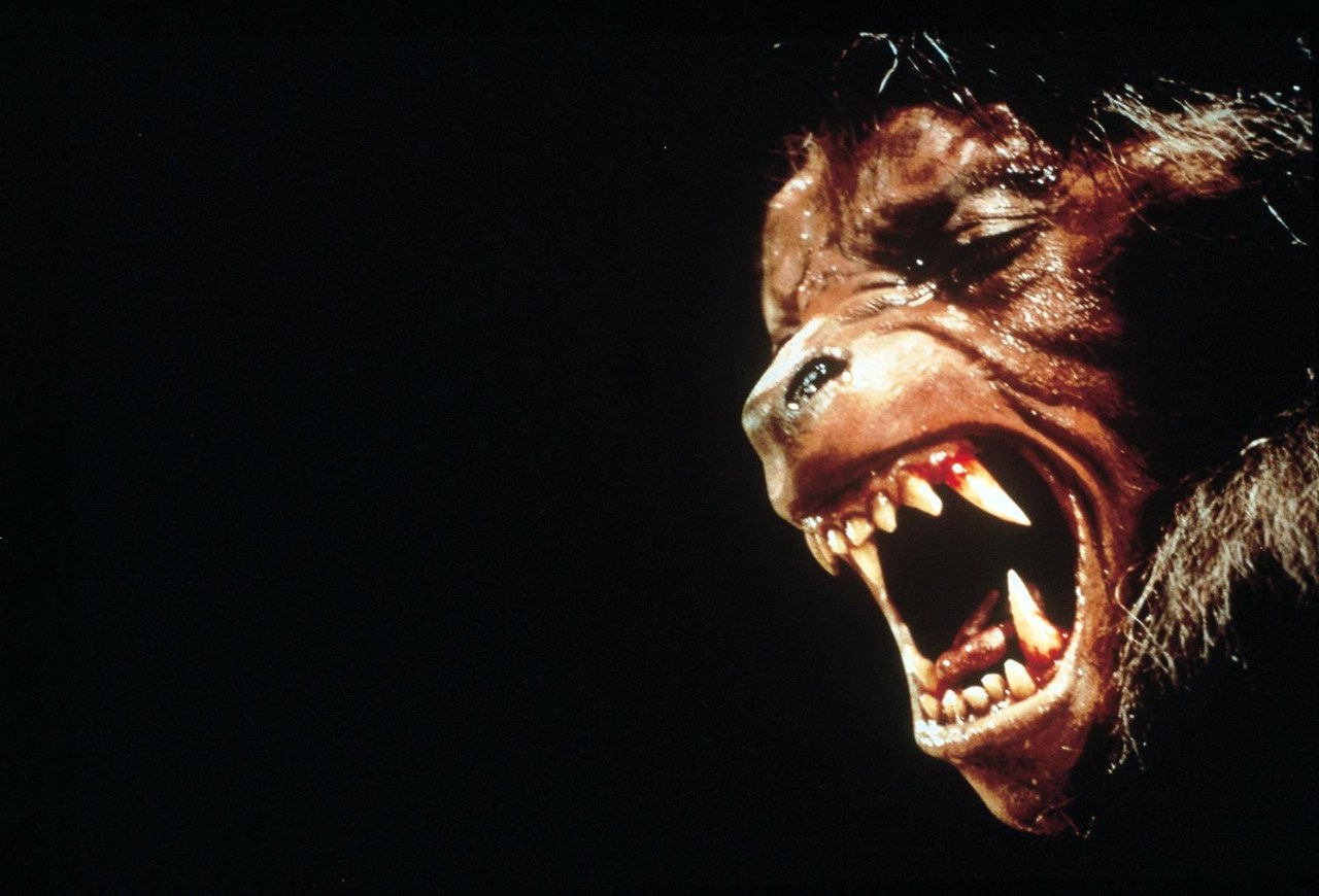 American Werewolf - Bild 12