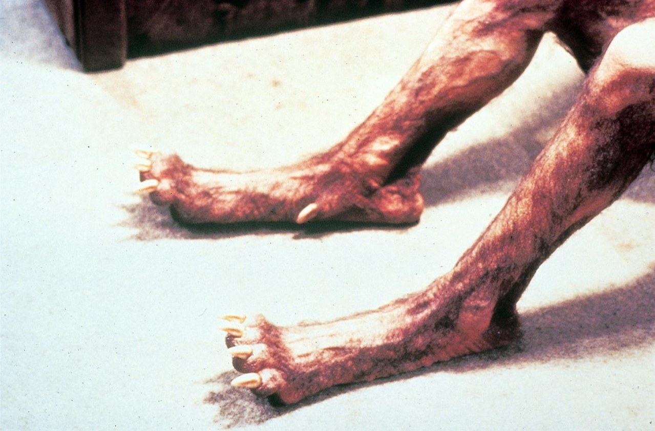 American Werewolf - Bild 13