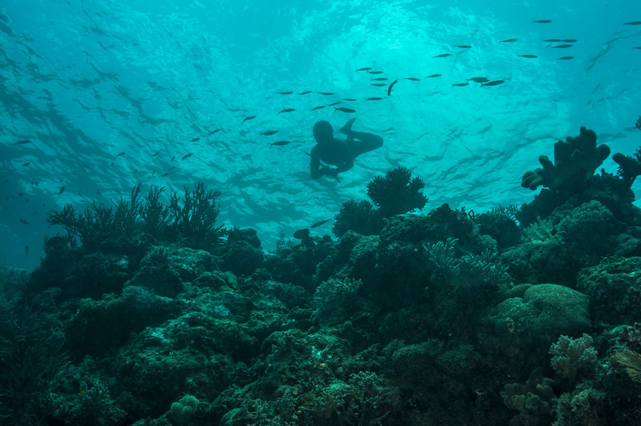 An den Rändern der Welt - Bild 1