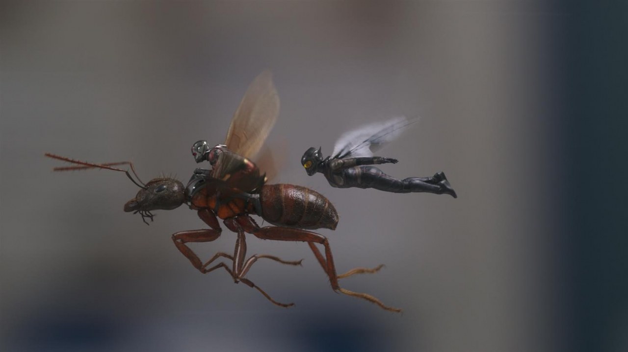 Ant-Man and the Wasp - Bild 1