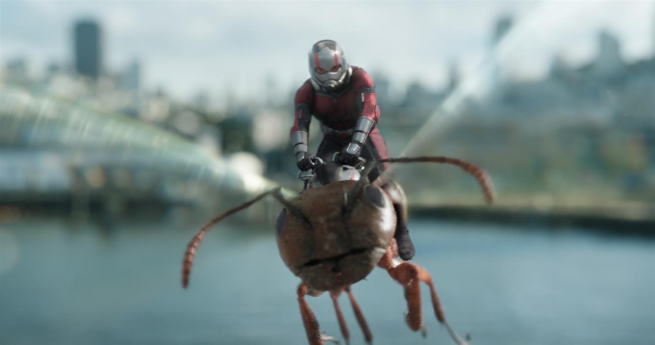 Ant-Man and the Wasp - Bild 10