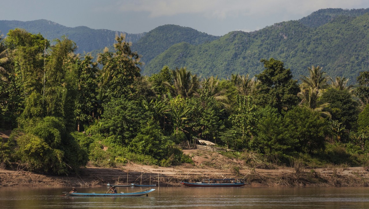 Bananas, Pancakes und der Lonely Planet - Bild 1