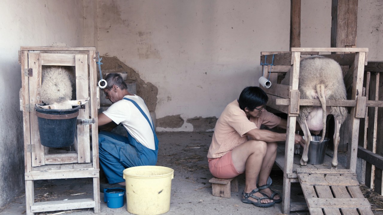 Bauer unser - Bild 1