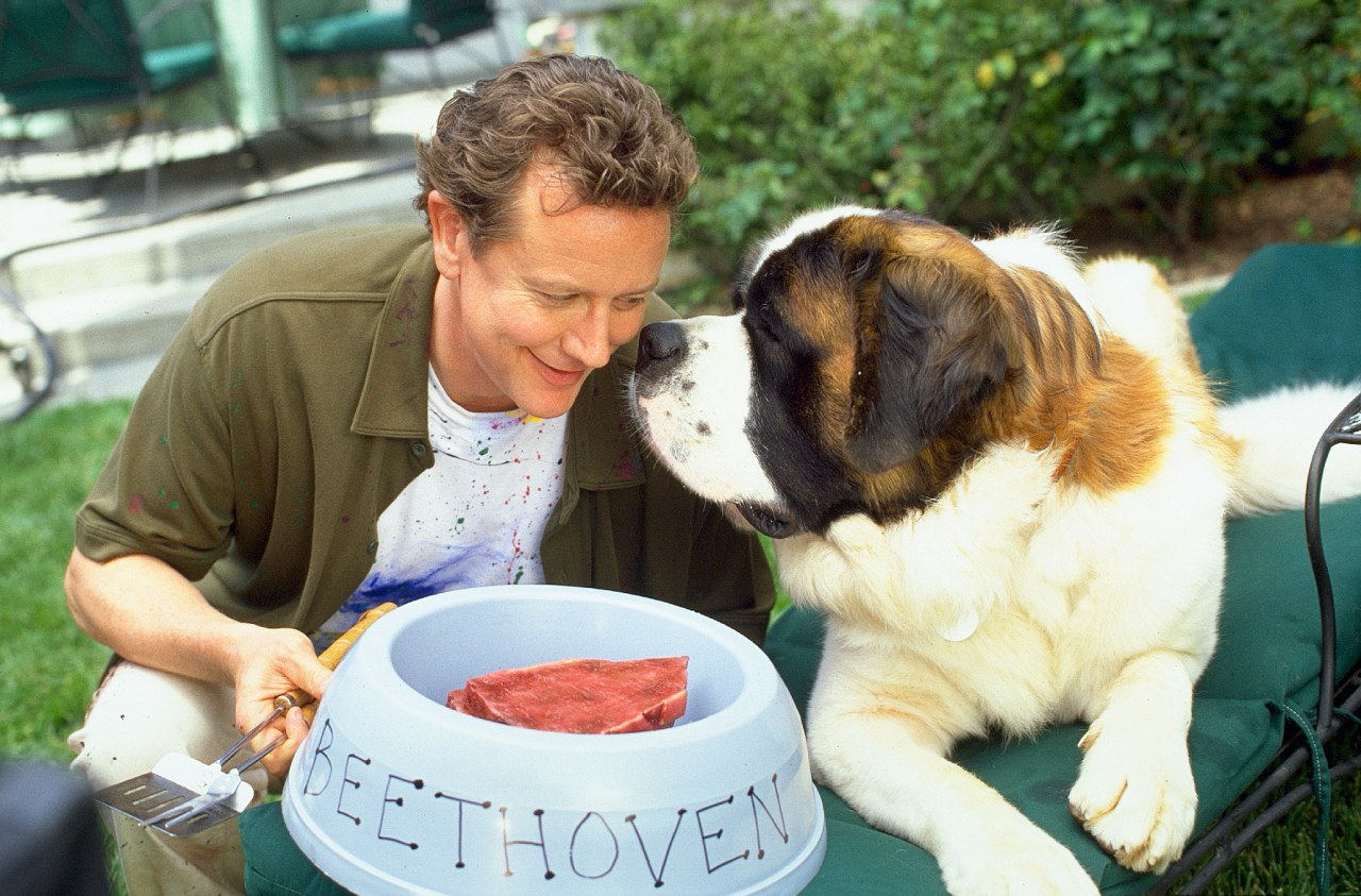 Beethoven's 4th - Bild 5